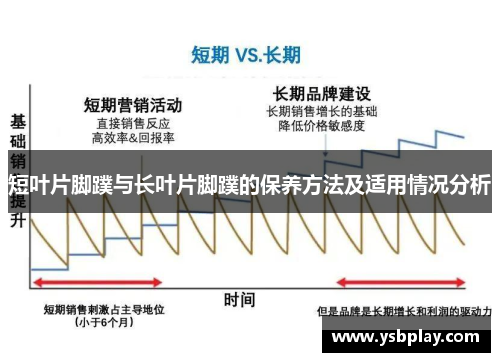 短叶片脚蹼与长叶片脚蹼的保养方法及适用情况分析