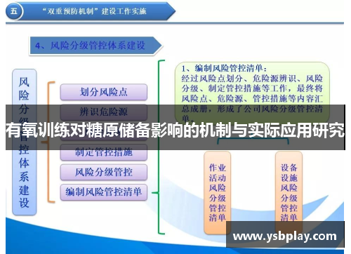 有氧训练对糖原储备影响的机制与实际应用研究